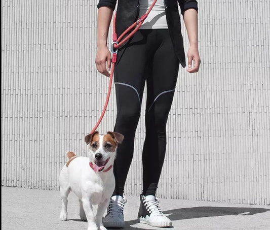 Reflective Dog Leash