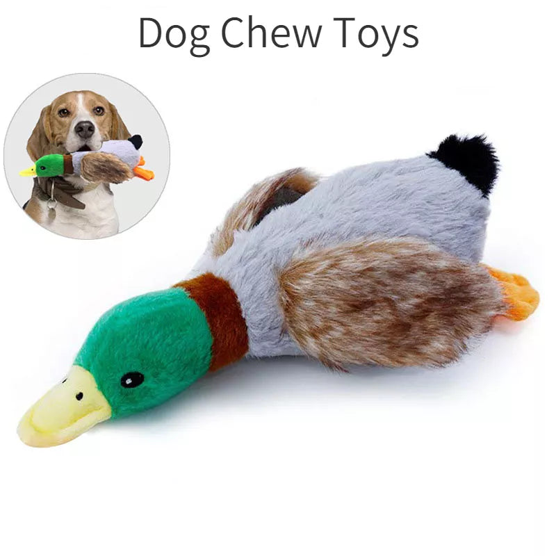 Plush Duck Sound Dog Toy